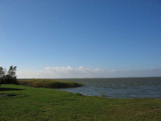 Saaler Bodden