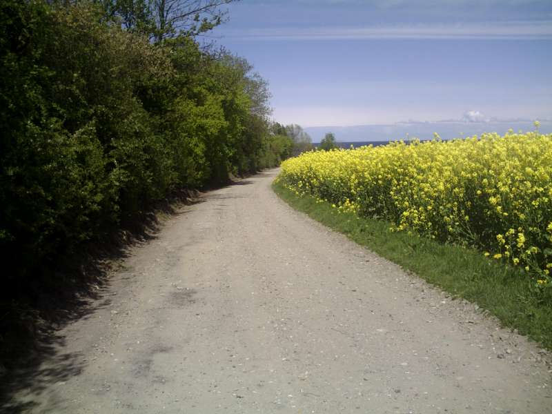 Weg zum Strand