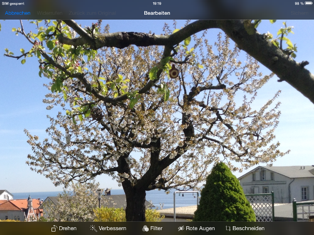 Garten Blick zum Meer