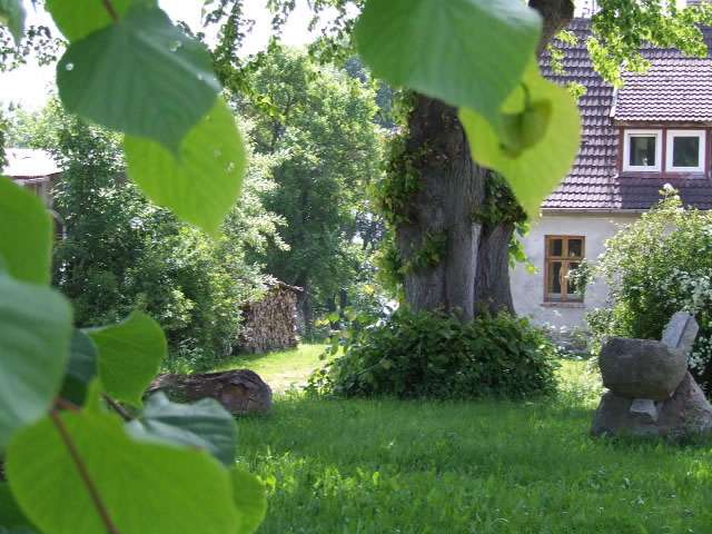 Blick vom Gutshaus