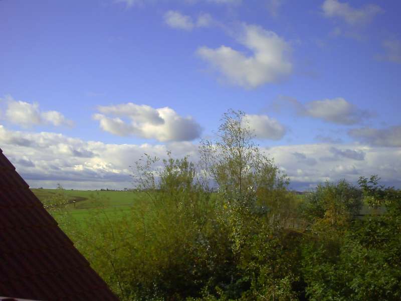 Blick aus dem Fenster