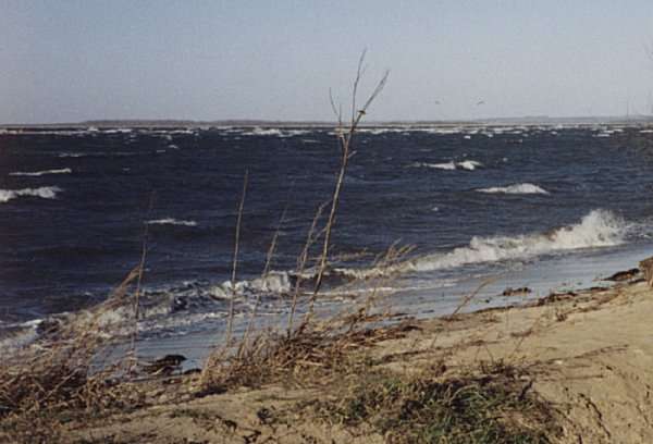 Stürmische See