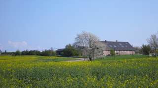 Bild von Ferienhaus in Gobbin Ferienwohnung Rügen Whg. Z