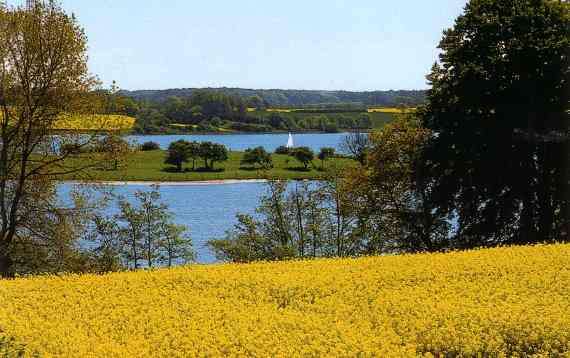 Schlei bei Ulsnis