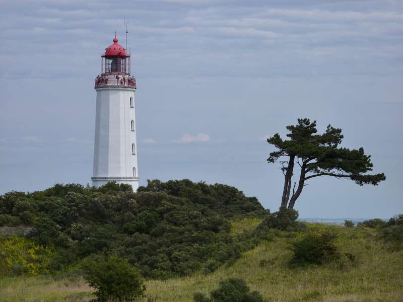 Leuchtturm auf Hiddensee