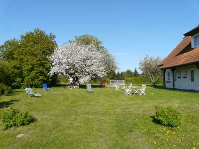 Bild von Ostsee Nahe Stralsund Ferienwohnung 4 Bett