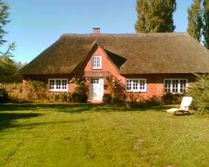 Bild von Ferienhaus  Ostsee Dahme Unterkunft 140m² Hund