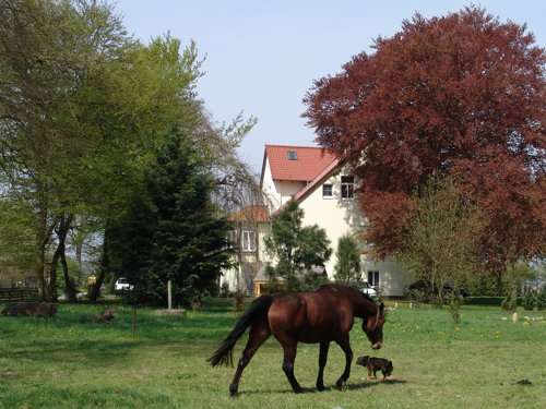 Bild von Mecklenburg Vorpommern Ostsee Unterkunft 