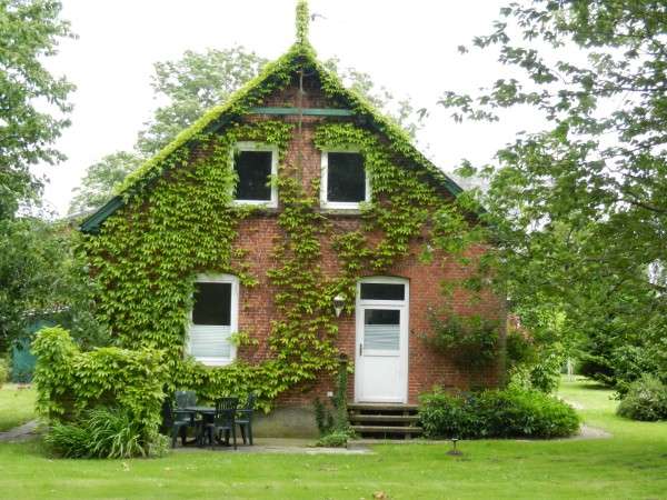 Bild von Ferienwohnung Ostsee an der Schlei