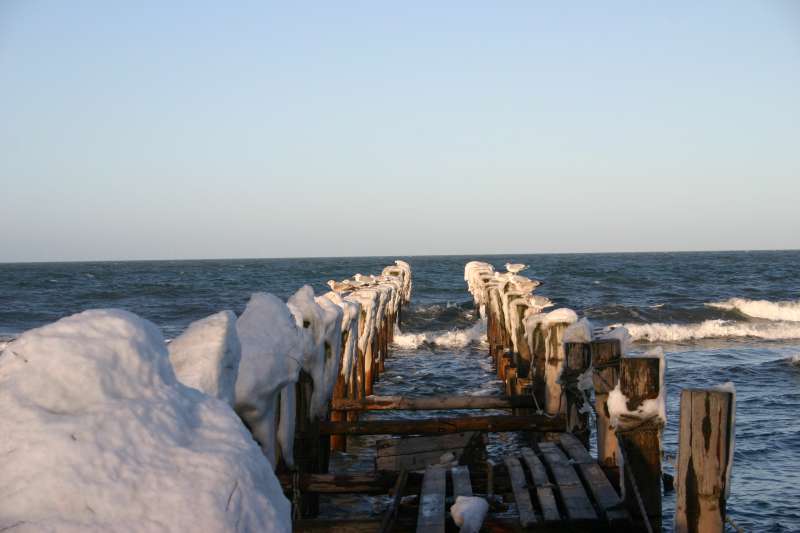 Bild von Ostsee Ferienhaus Saaler Bodden 2 Fewos 80m²