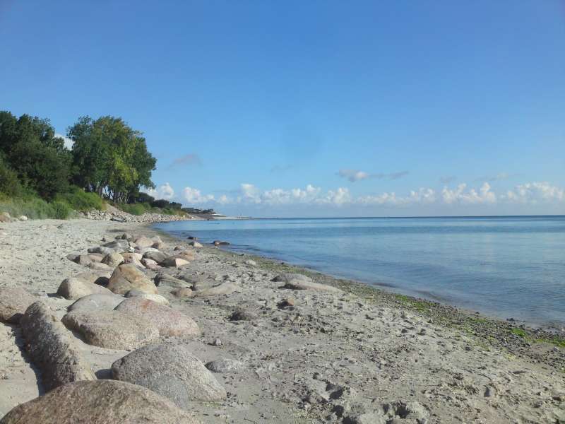 Bild von FeWo OSTSEE mit MEERBLICK 80m bis zum Strand 