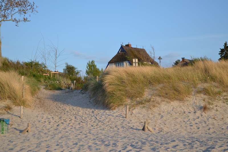 Bild von Ahrenshoop Strandwohnung mit Ostseeblick