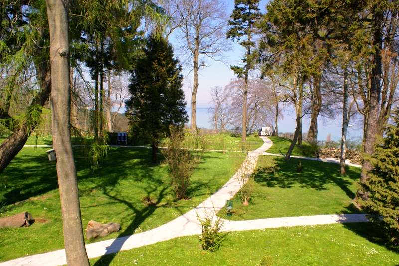 Bild von Göhren Rügen Ferienwohnung Appartment Ostsee  