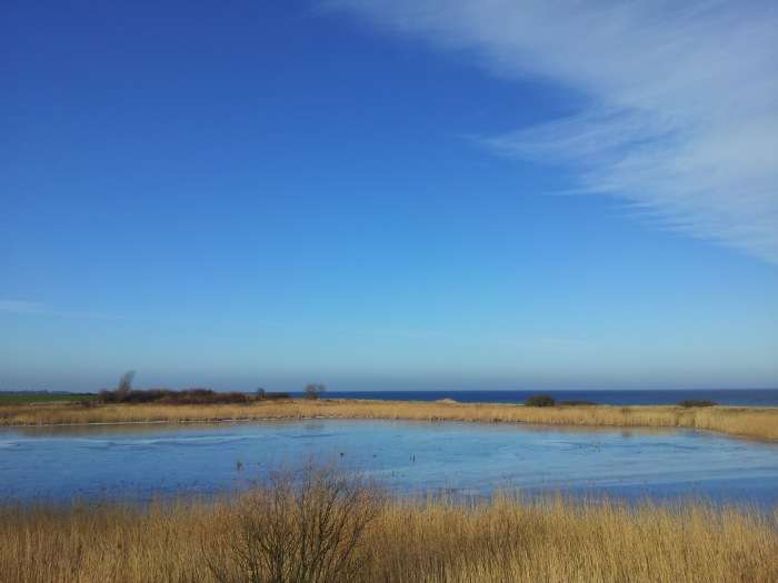 Bild von Ferienwohnung in Hohenfelde nah am Meer