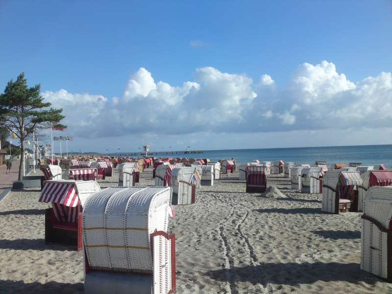 Bild von Ostsee FeWo mit Garten nur 80m zum Strand* 