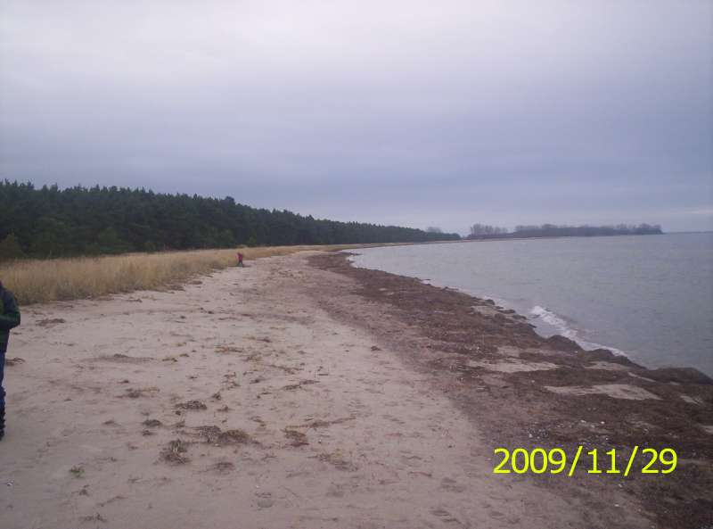 Bild von Ferienhaus Ostsee Mecklenburg Vorpommern