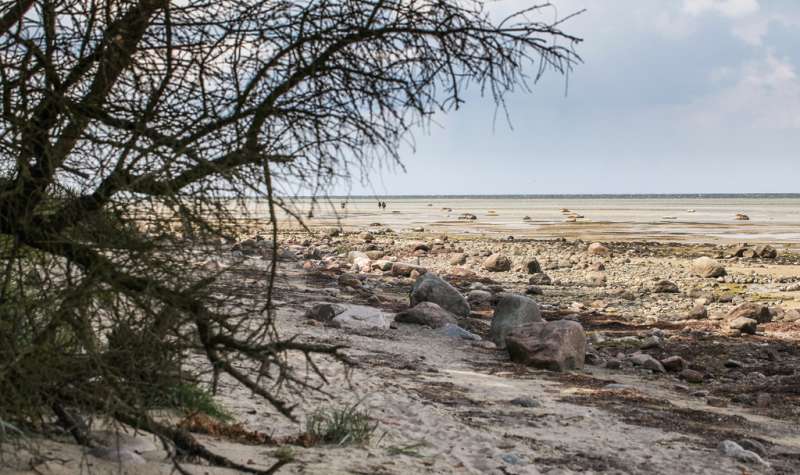 Wasser, Sand und viel Ruhe