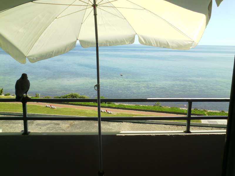 Bild von Ferienwohnung Ostsee 1.Reihe Blick auf das Meer