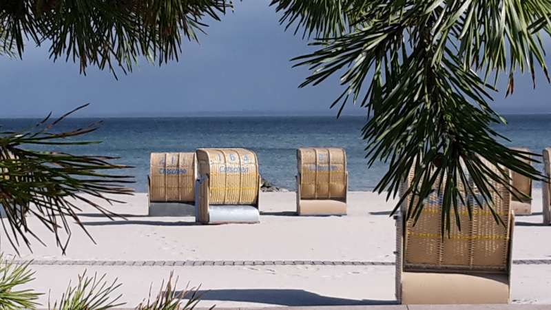 Bild von Dahme Ostsee FeWo mit Garten