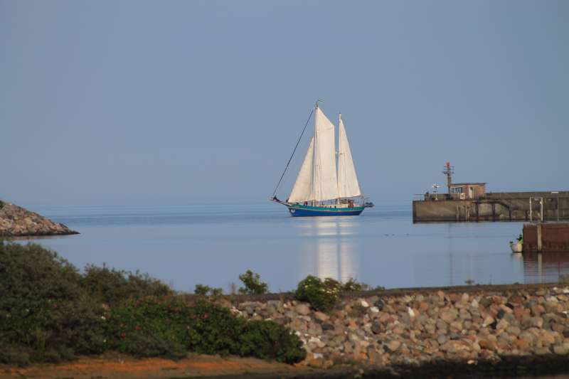 Bild von Ostsee Ferienwohnung Direkt am Wasser Schlei