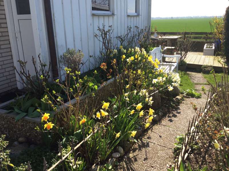 Am Haus entlang in den Garten 