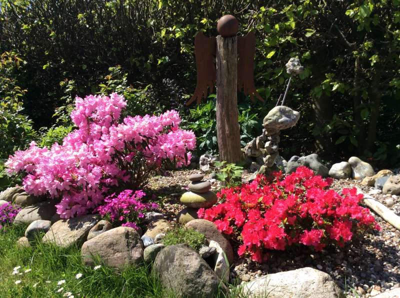 Garten im Frühling