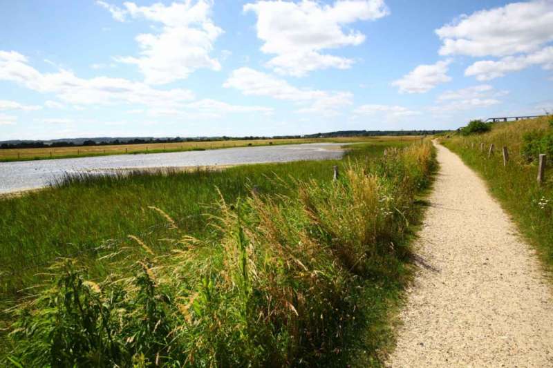 Bild von Behrensdorf Ferienwohnung Ostsee kl. Fewo