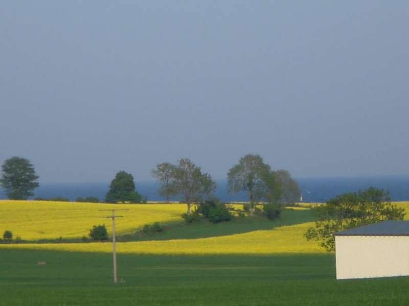 Bild von Ferienwohnung  Waabs Ostsee Damp Eckernförde