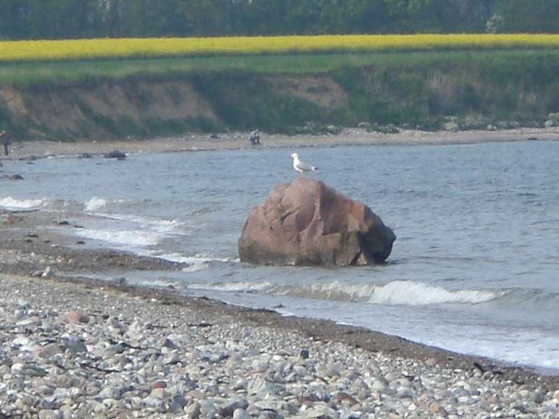 Bild von Ferienwohnung  Waabs Ostsee Damp Eckernförde