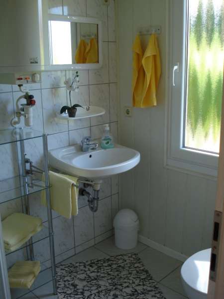 Badezimmer - Duschbereich