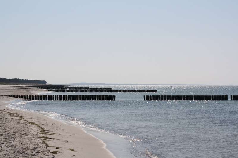 Bild von Insel Hiddensee Ostsee Ferienhaus Neuendorf 