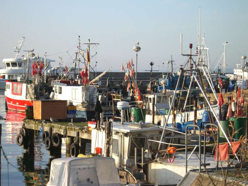 Fischereihafen in Sassnitz