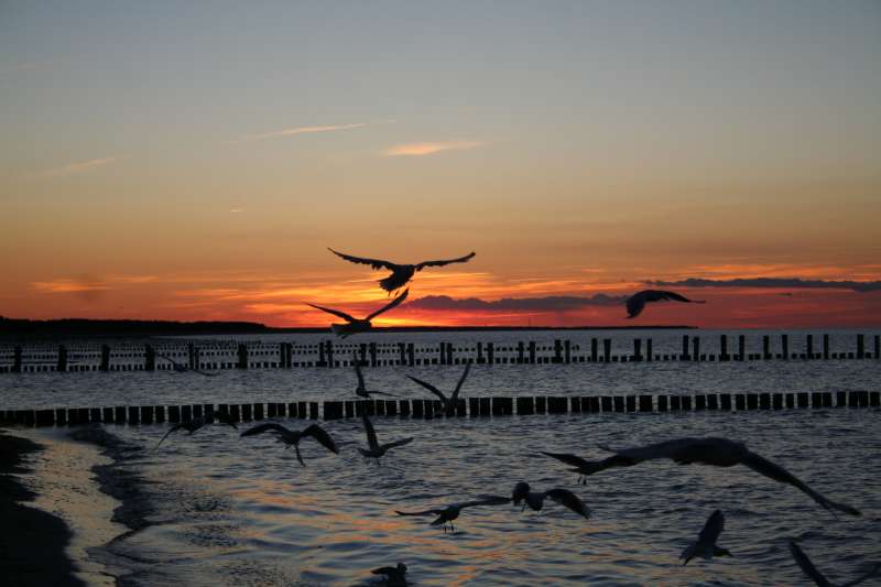 Sonnenuntergang in Zingst