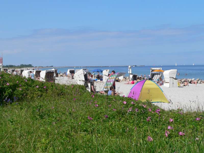 Bild von Ferienhaus an der Ostsee Schönhagen Fewo 5