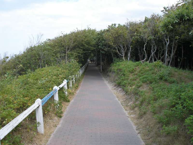 Strandprommenade am Küstenwald