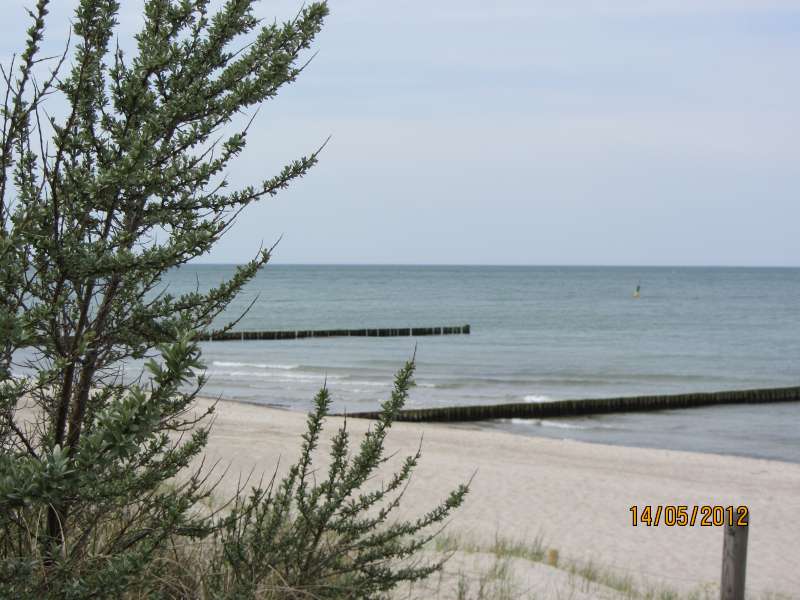 Strand/Düne