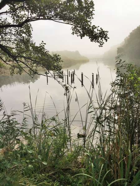 Bodden-Blick