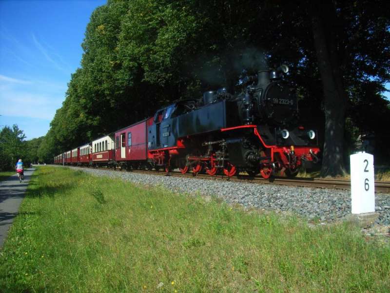 Mollibahn an der Lindenallee