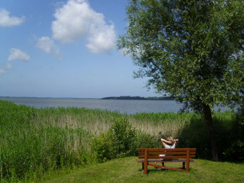 Bild von Ostsee Ferienhaus Darß Dierhagen Ferienwohnung 