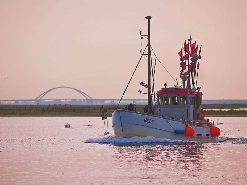 Bild von Ostsee Ferienwohnung Heiligenhafen Fewo mit 45m²