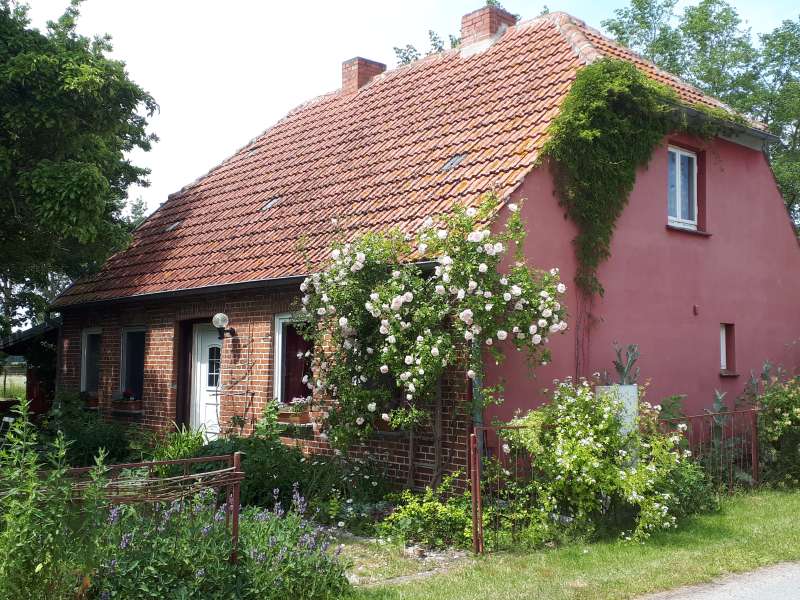 Bild von Ferienwohnung Ostsee MVP Südl. Boddenküste Fewo