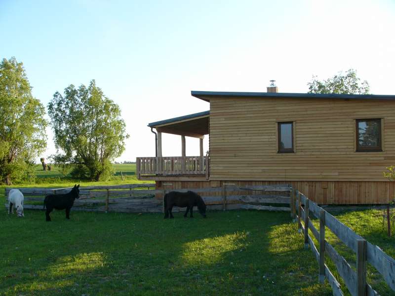 Bild von Malerisches Ferienhaus Ostsee Familienurlaub