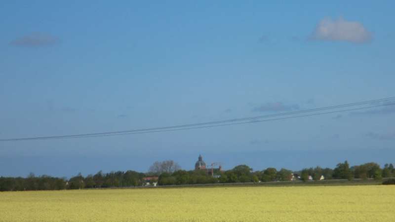 Rapsfeld mit Blick zur Kirche